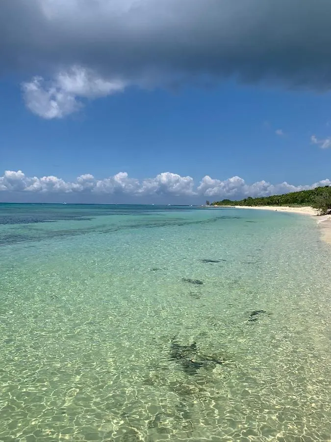 Coco Cozy Apartment Centric And Private Cozumel