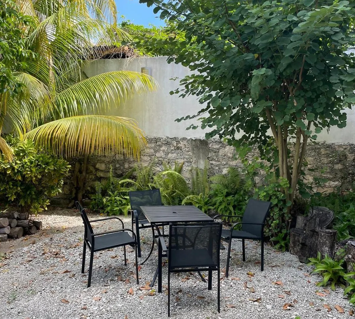 Coco Cozy Apartment Centric And Private Cozumel Mexico
